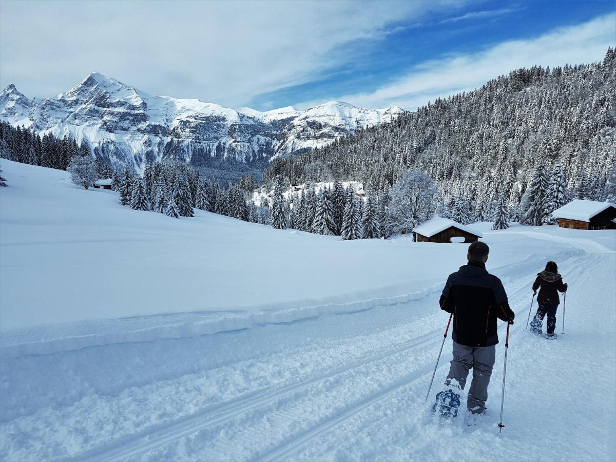 Chalet Arpitan - Les Carroz - Grand Massif 외부 사진