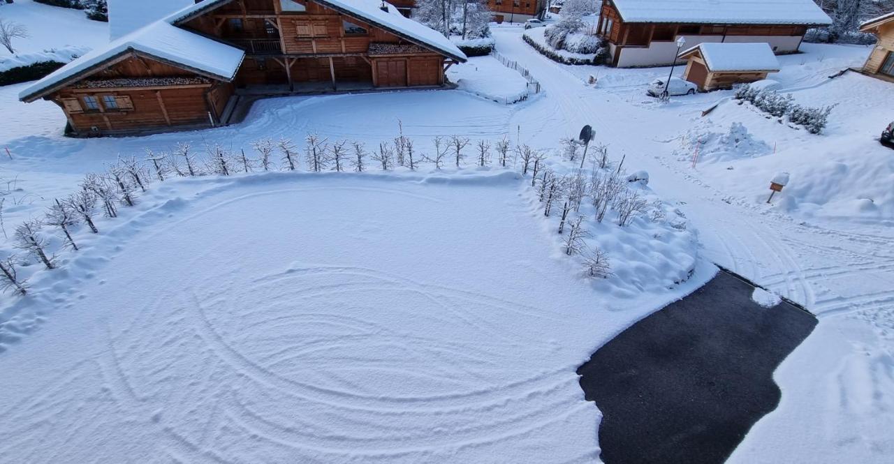 Chalet Arpitan - Les Carroz - Grand Massif 외부 사진