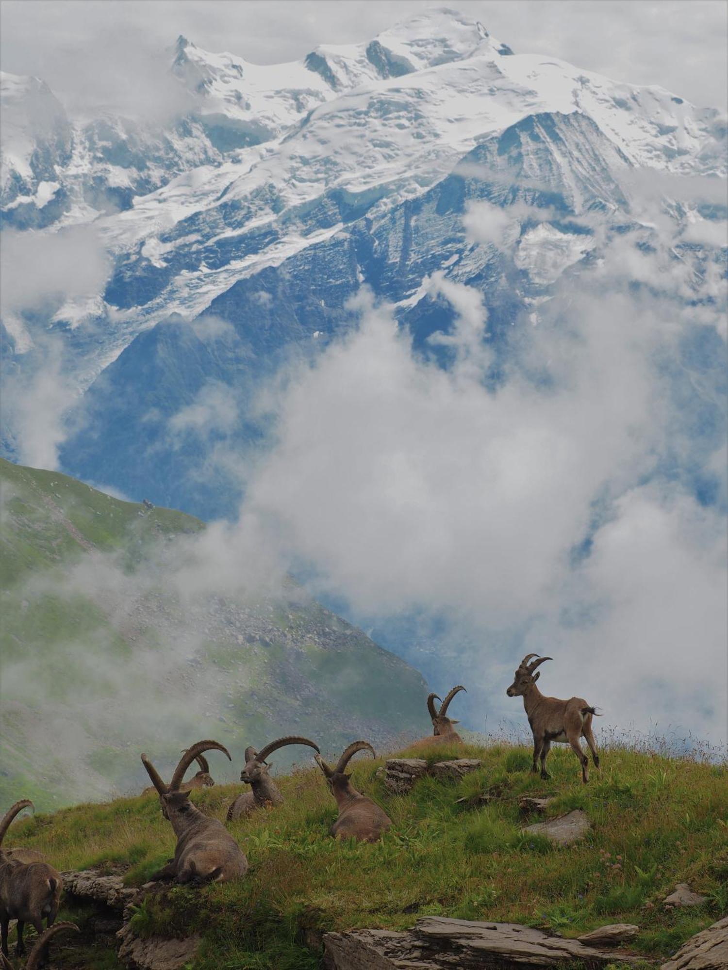 Chalet Arpitan - Les Carroz - Grand Massif 외부 사진