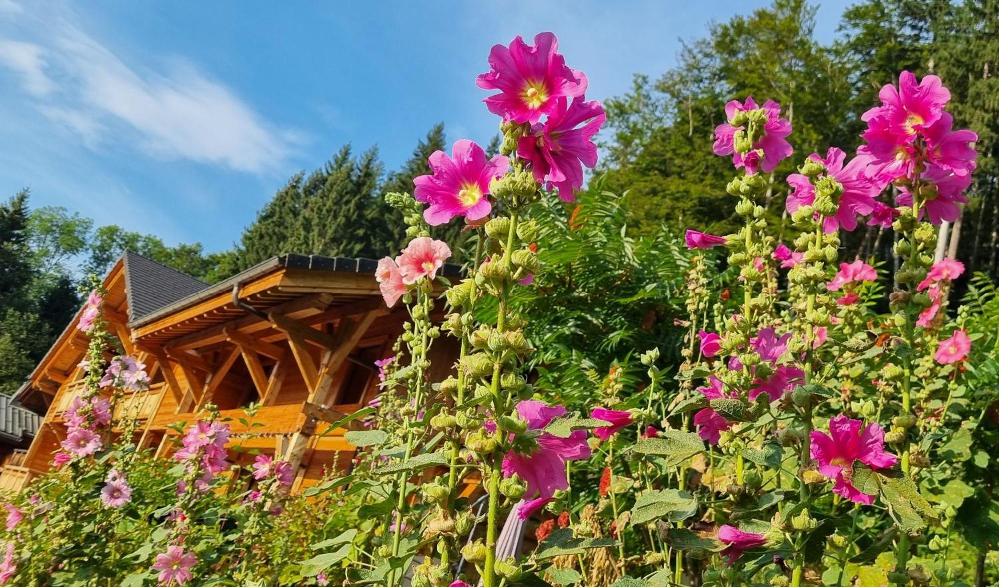 Chalet Arpitan - Les Carroz - Grand Massif 외부 사진